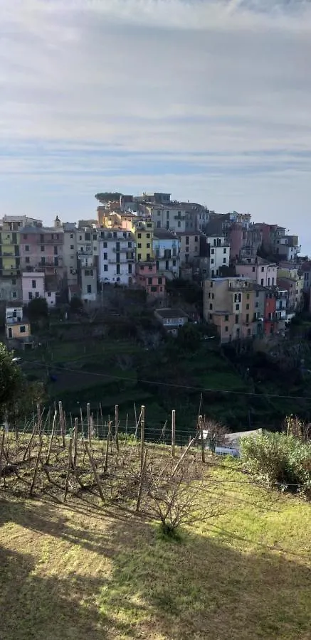 Da Bareu Apartment Corniglia