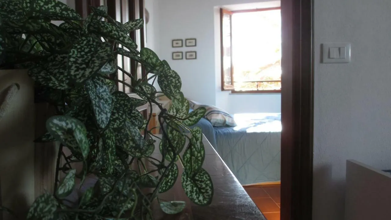 Da Bareu Apartment Corniglia Italy